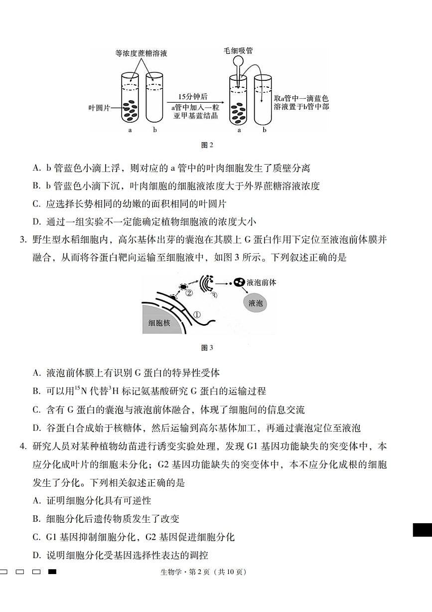 2026届云南三校高考备考实用性联考卷（六）生物第2页