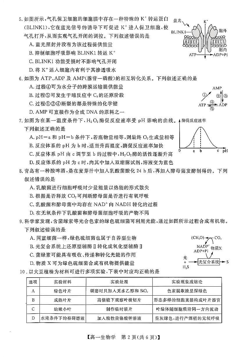 广西钦州市2025-2026学年高一上学期期末教学质量检测生物试卷（扫描版无答案）第2页