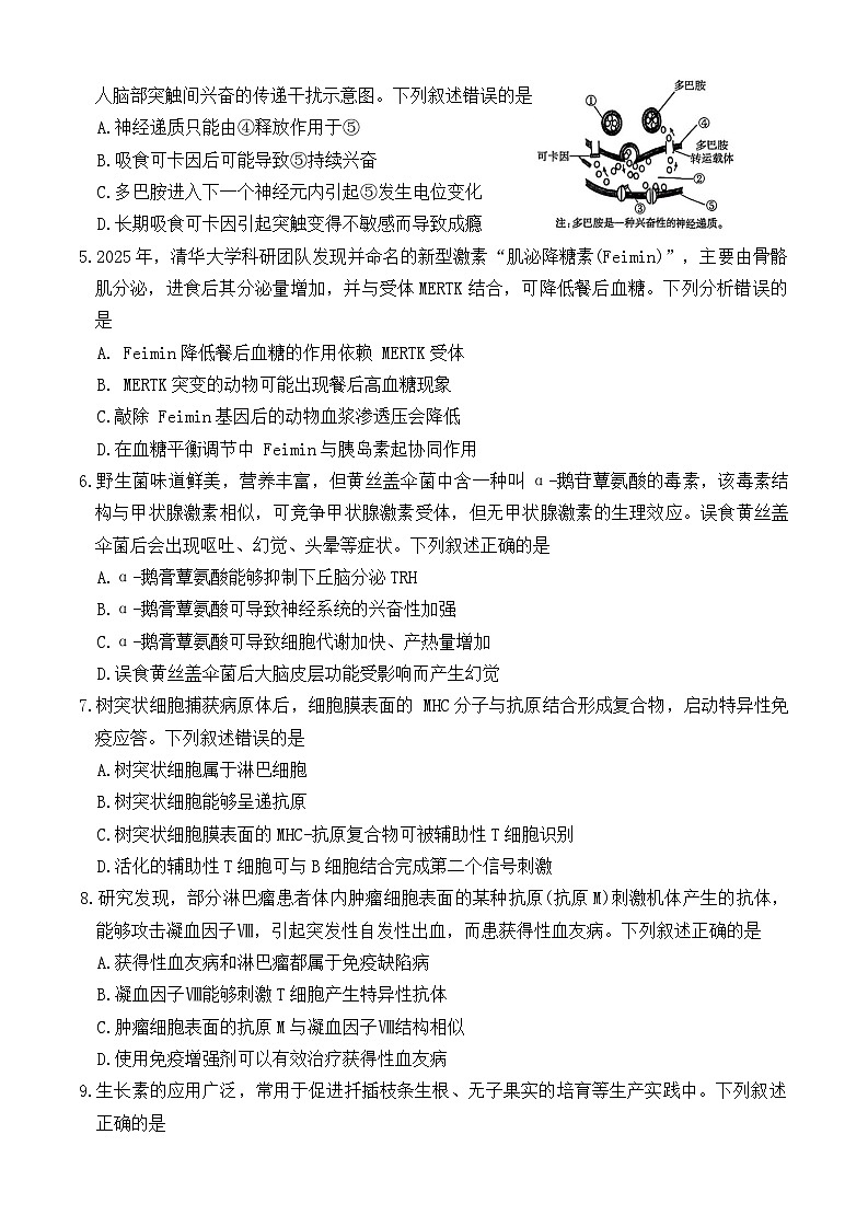 贵州省安顺市2025-2026学年高二上学期期末生物试卷（Word版附答案）第2页