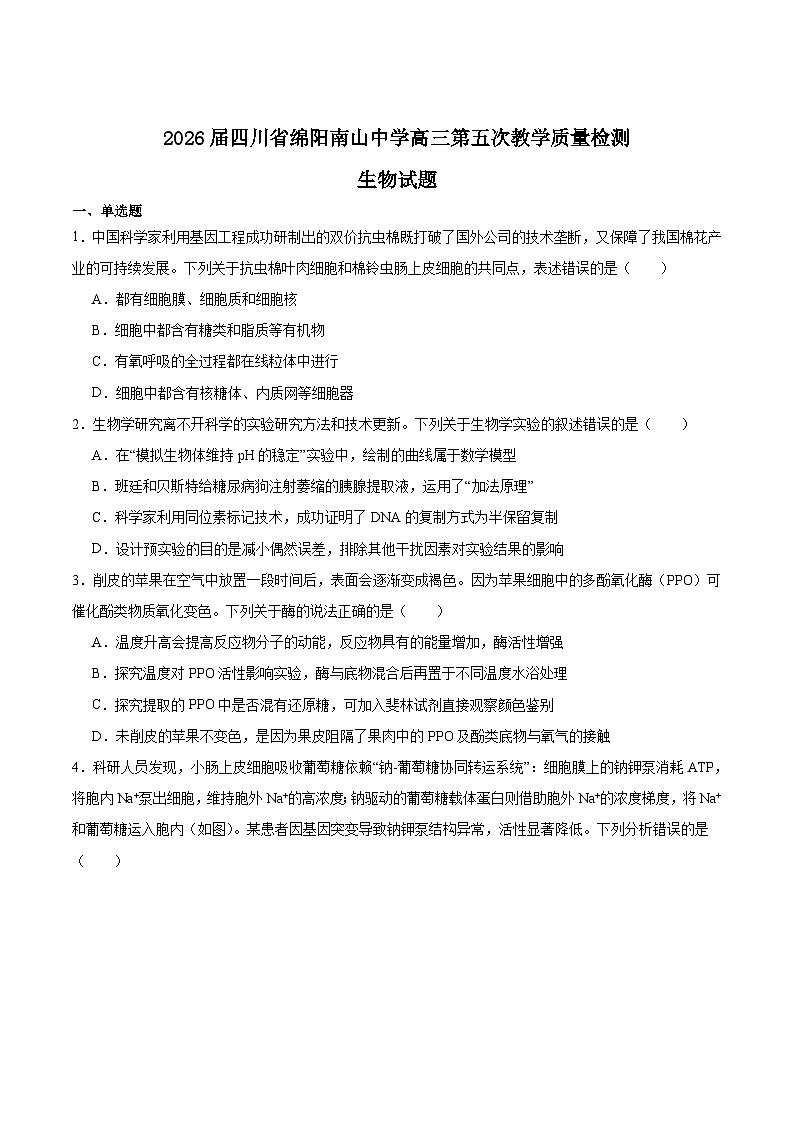 四川省绵阳南山中学2026届高三上学期第五次教学质量检测生物试卷（Word版附答案）第1页