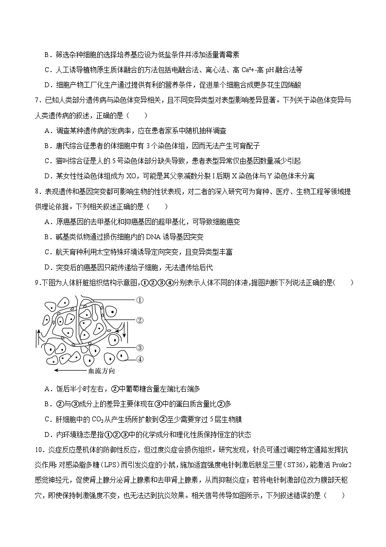 四川省绵阳南山中学2026届高三上学期第五次教学质量检测生物试卷（Word版附答案）第3页