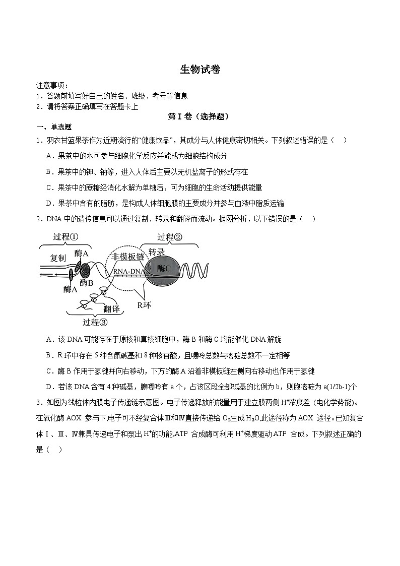 重庆市第八中学2026届高三上学期1月一模生物试卷（Word版附答案）第1页