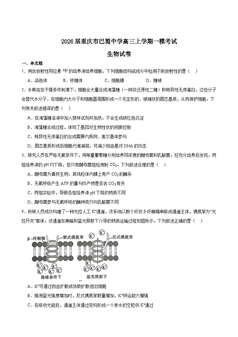 重庆市巴蜀中学2026届高三上学期一模考试生物试卷（Word版附答案）第1页