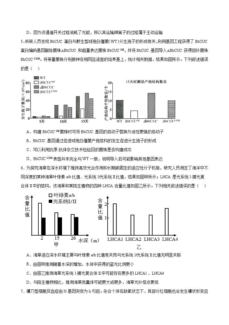 重庆市巴蜀中学2026届高三上学期一模考试生物试卷（Word版附答案）第2页