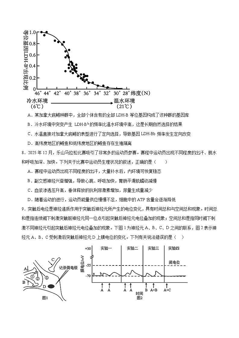 四川省绵阳中学2026届高三上学期第二次模拟考试生物试卷（Word版附答案）第3页