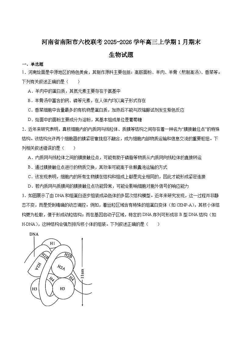 河南省南阳市六校2026届高三上学期期末考试生物试卷（Word版附答案）第1页