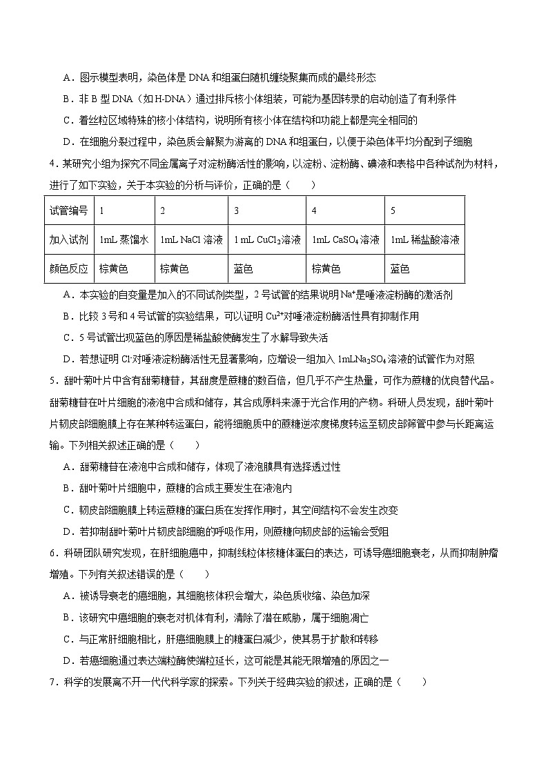 河南省南阳市六校2026届高三上学期期末考试生物试卷（Word版附答案）第2页