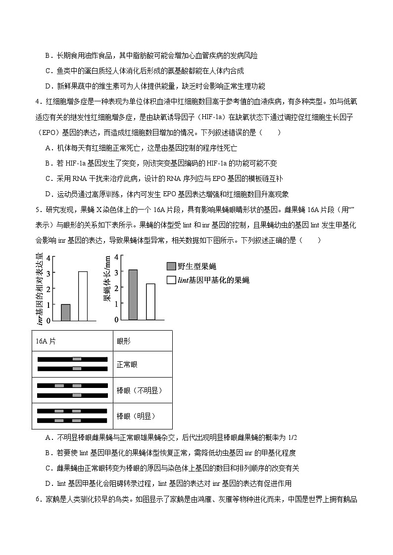 江西省宜春市2026届高三上学期期末考试生物试卷（Word版附答案）第2页