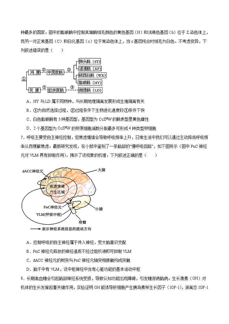 江西省宜春市2026届高三上学期期末考试生物试卷（Word版附答案）第3页