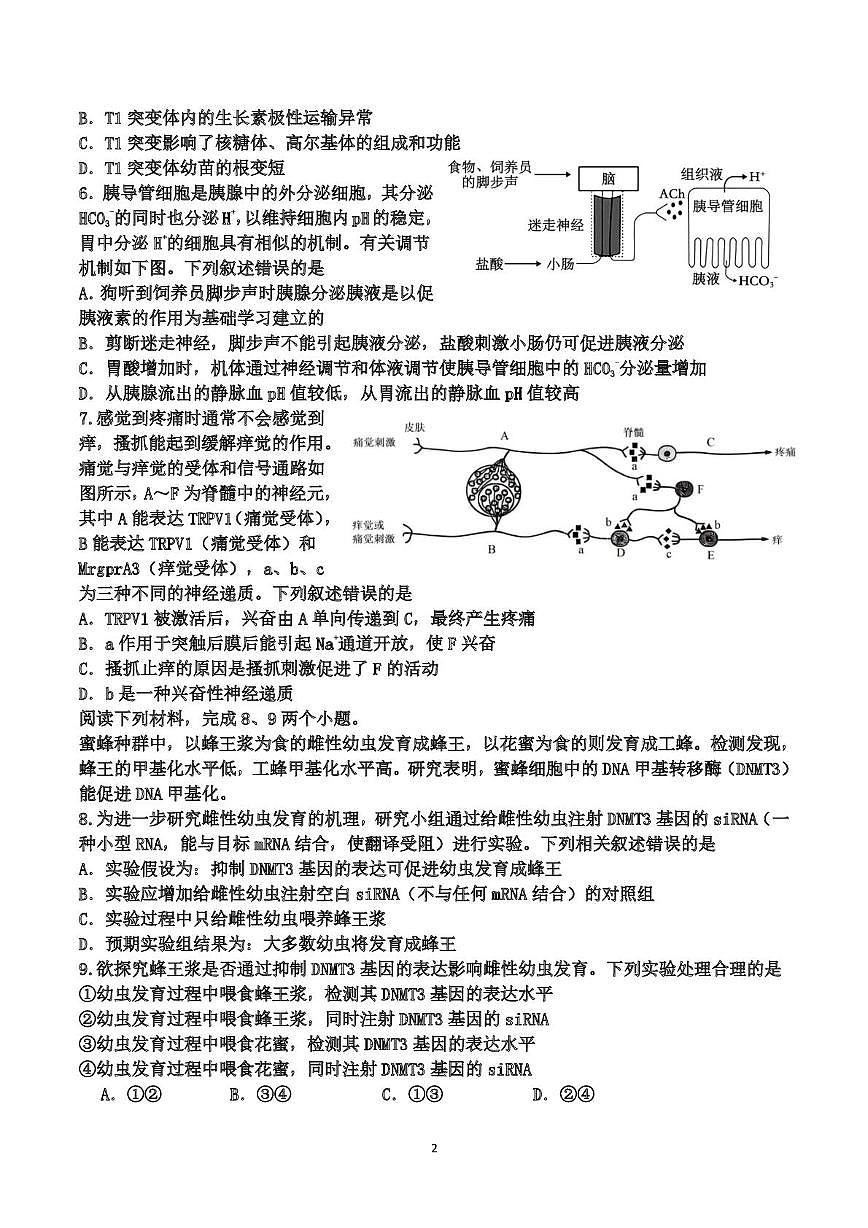 福建福州一中2025-2026学年第一学期第二学段期末考试高三生物学科期末试卷第2页