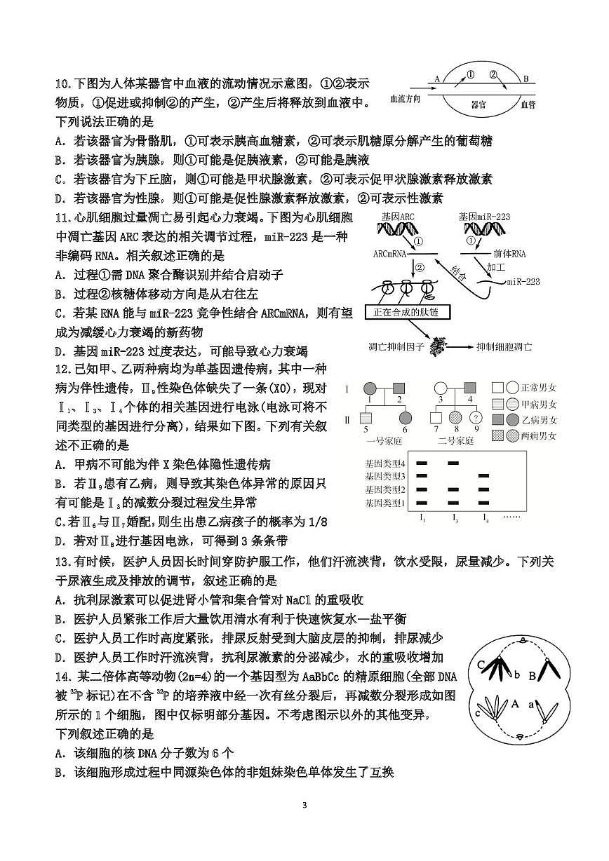 福建福州一中2025-2026学年第一学期第二学段期末考试高三生物学科期末试卷第3页