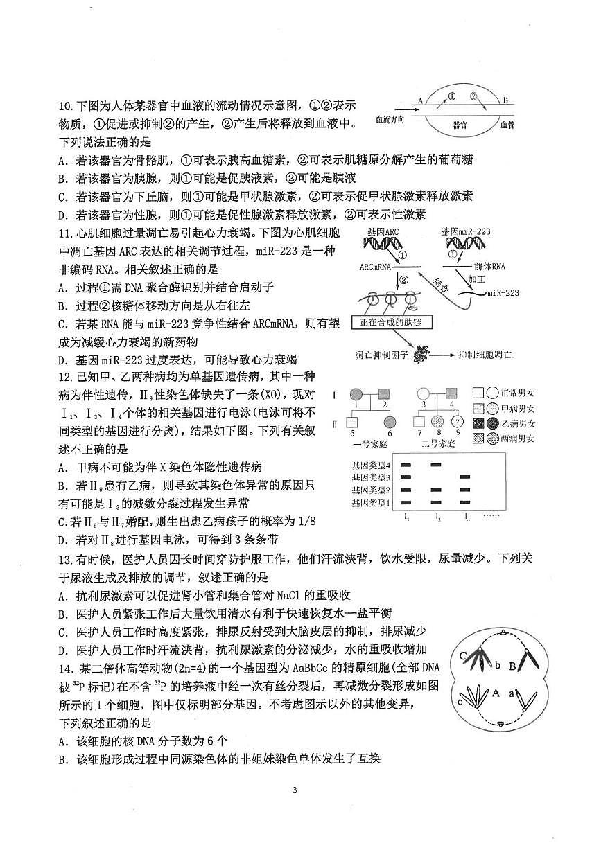 福建福州一中2025-2026学年第一学期第二学段期末考试高三生物学科试卷第3页