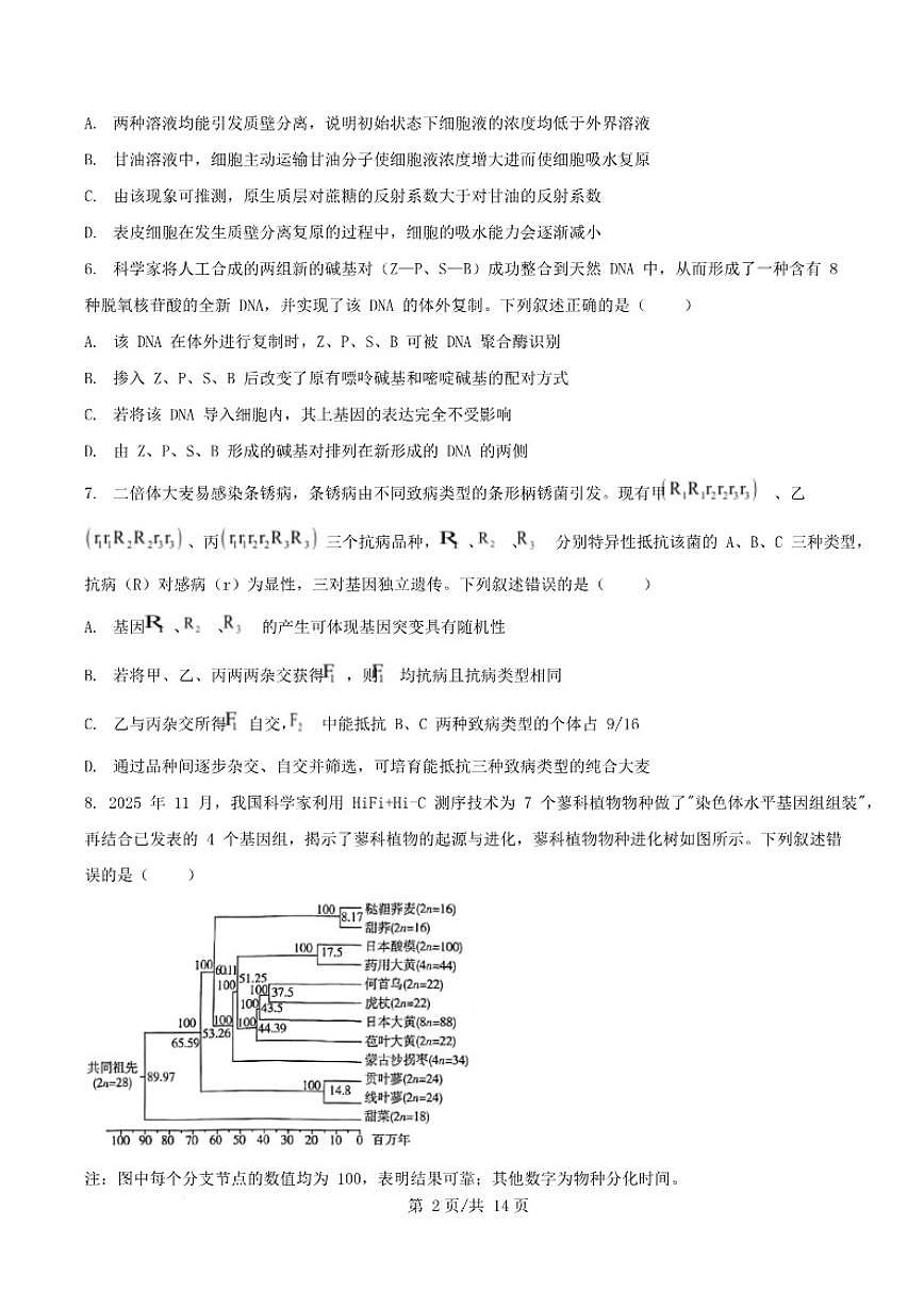 河南省周口市商水县部分学校2026届高三上学期1月期末考试生物试卷（含答案）第3页
