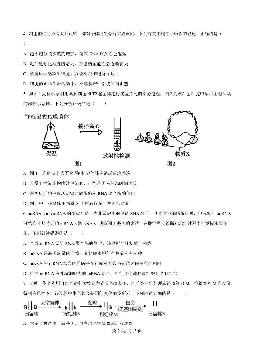 吉林省白山市2026届高三上学期一模考试生物试卷（含答案）第3页