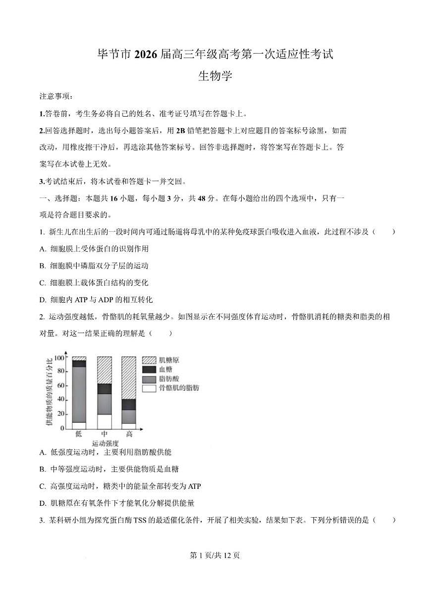 贵州省毕节市2026届高三上学期第一次适应性考试生物试卷（含答案）第1页