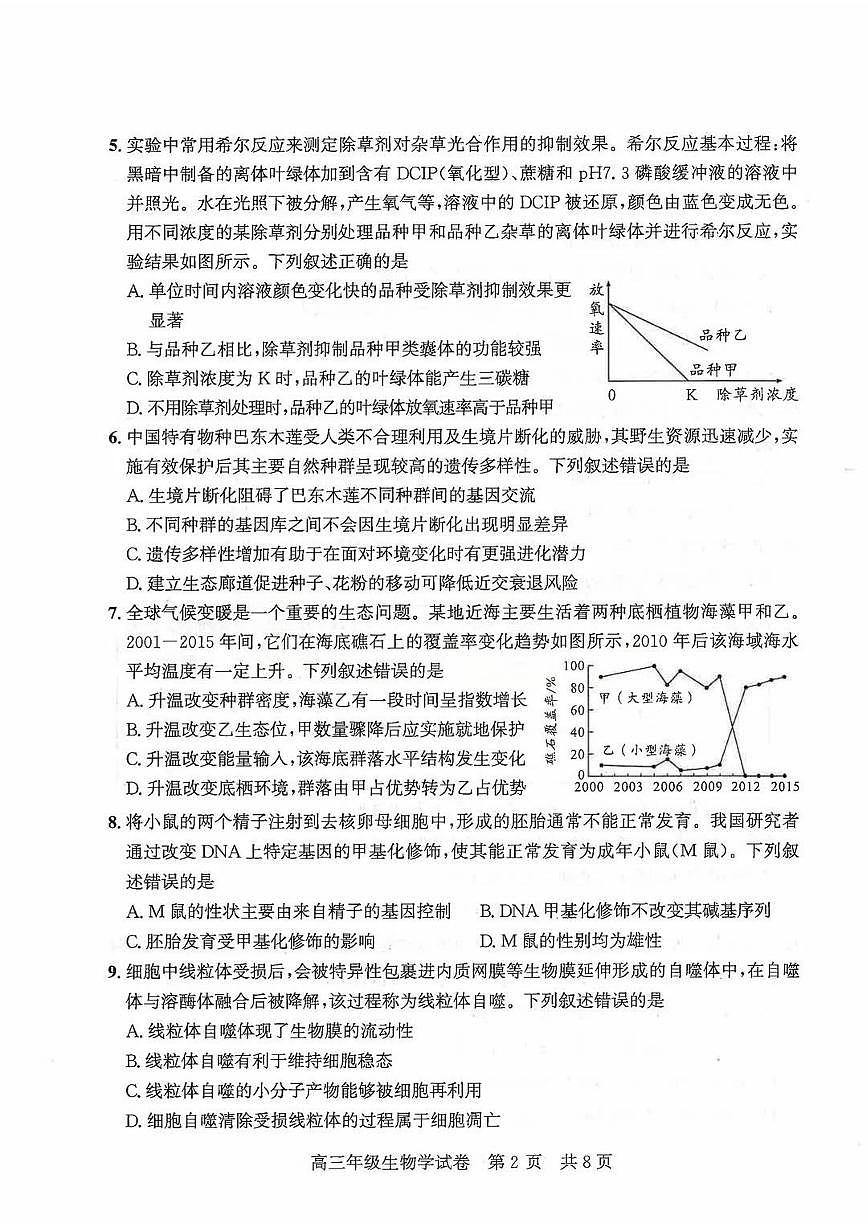 2026届武昌区高三元调 生物试卷第2页