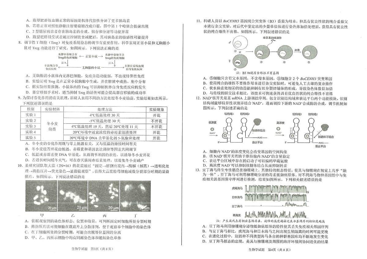 安徽省2026年合肥市高三第一次教学质量检测生物第2页