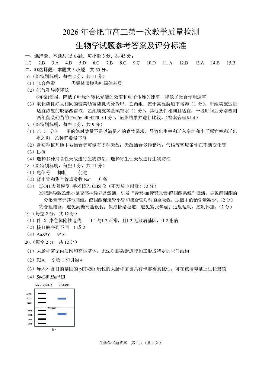 安徽省2026年合肥市高三第一次教学质量检测生物答案第1页