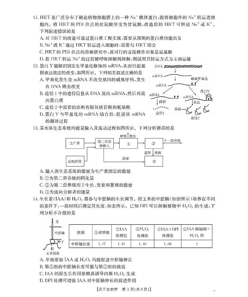 2025-2026学年度第一学期高三期末检测（26-238C）生物第3页