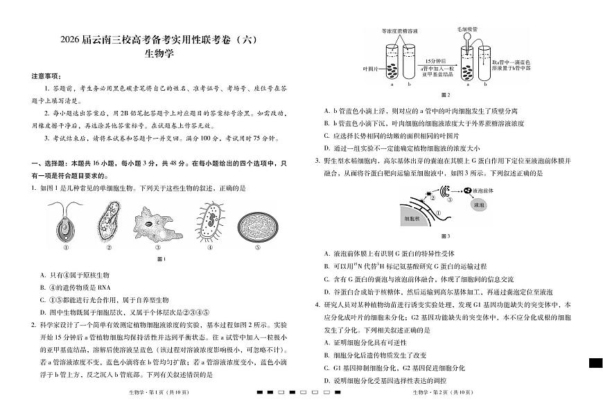 2026届云南三校高考备考实用性联考卷（六）生物第1页