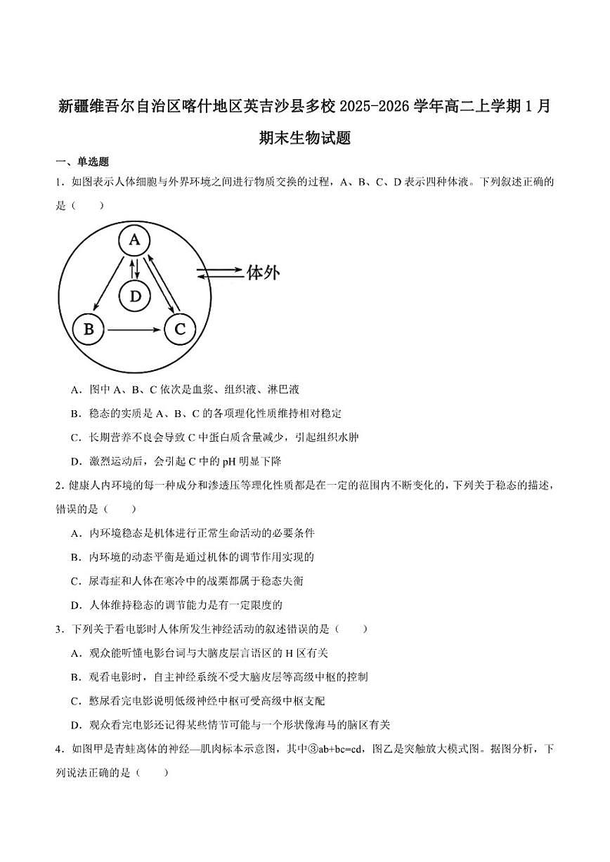 2025-2026学年新疆维吾尔自治区喀什地区英吉沙县多校高二上学期期末考试生物试卷（含答案）第1页
