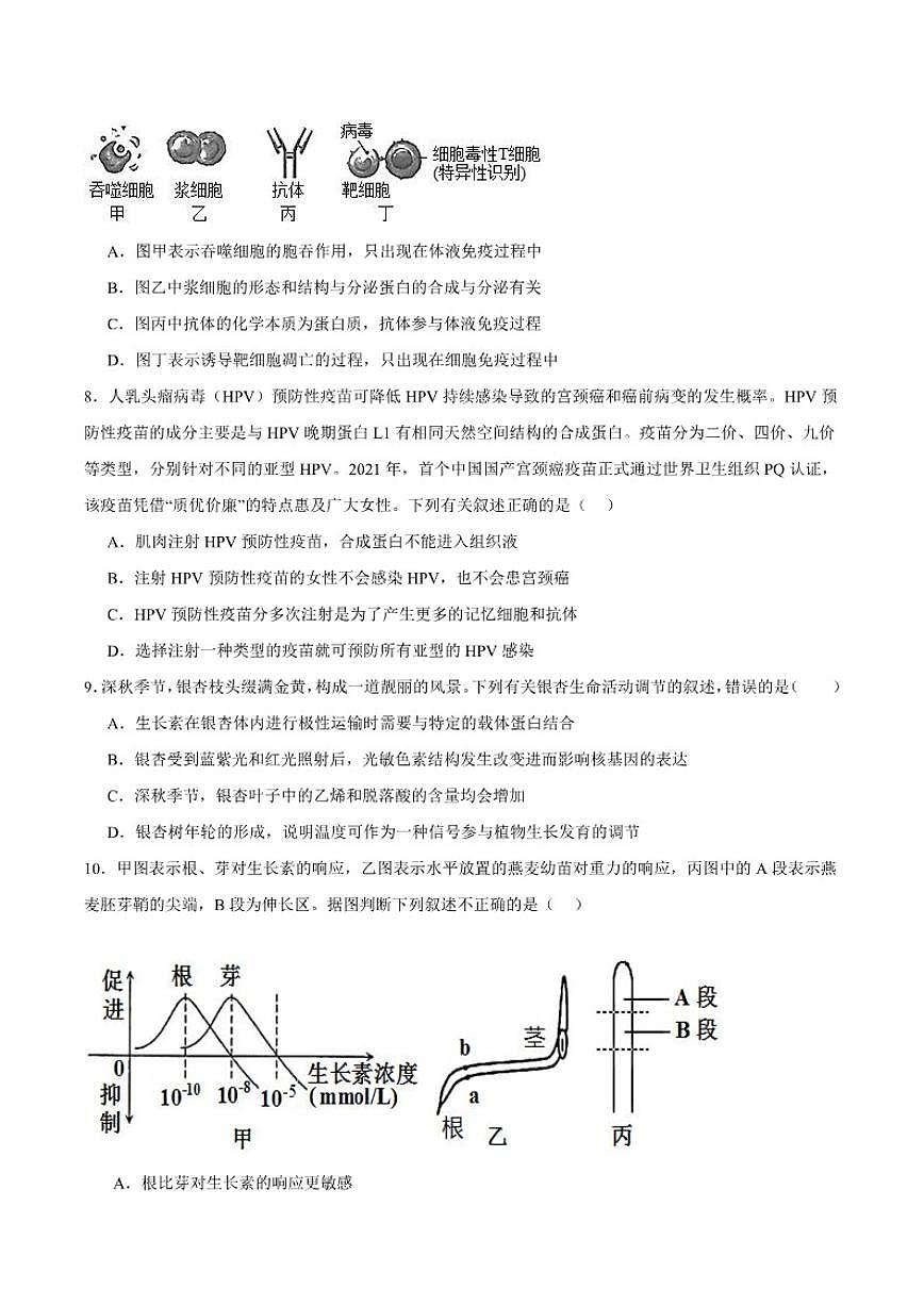 2025-2026学年新疆维吾尔自治区喀什地区英吉沙县多校高二上学期期末考试生物试卷（含答案）第3页