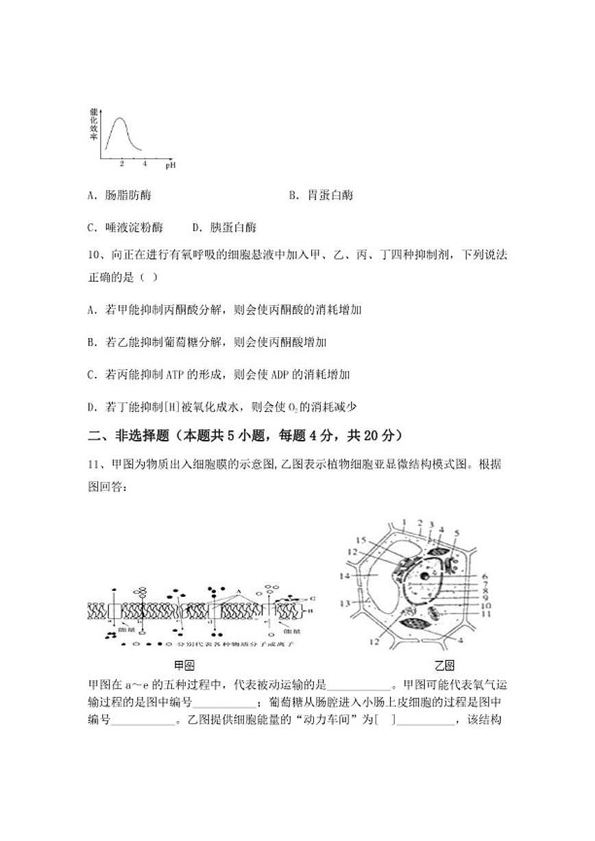 2024-2025学年广西桂林中学高一上学期期中生物试卷（含答案）第3页