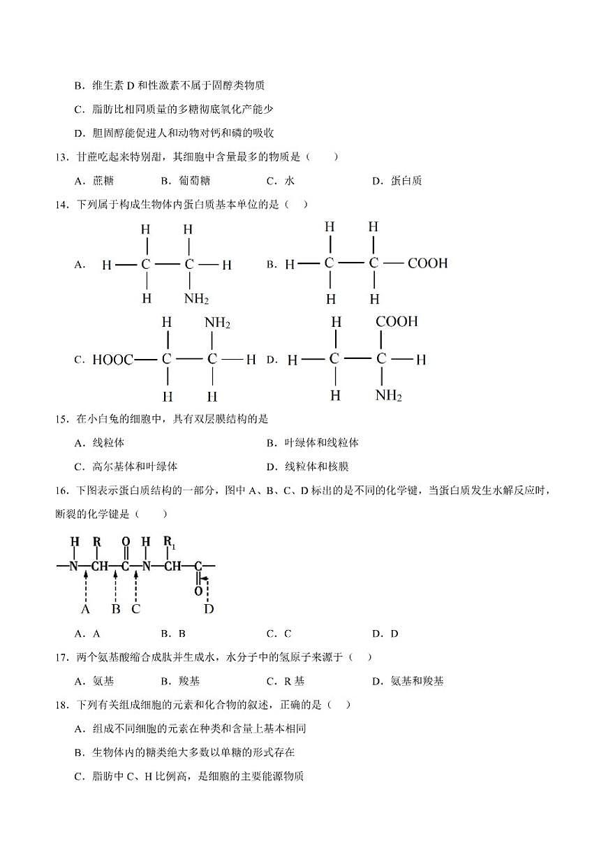 2025-2026学年新疆维吾尔自治区喀什地区英吉沙县高一上学期期末质量监测生物试卷（含答案）第3页