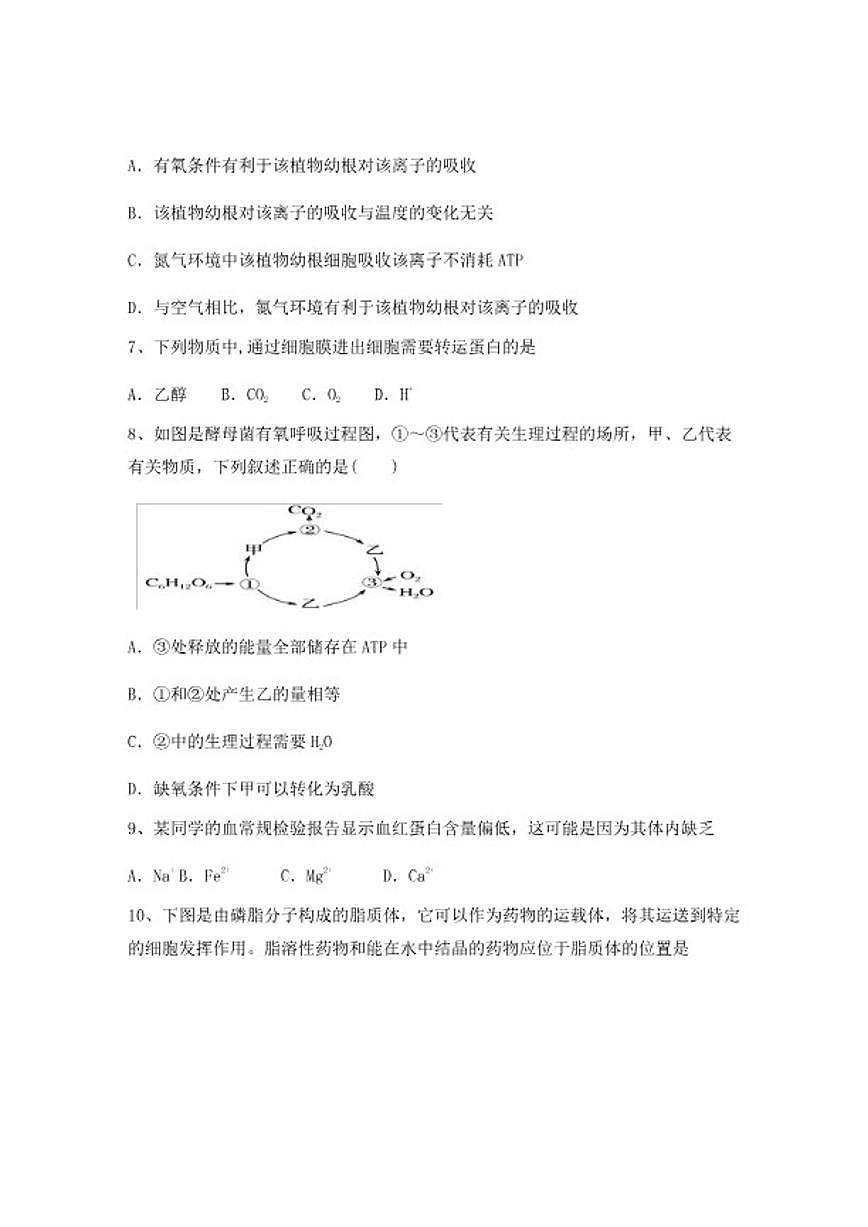 2024-2025学年广西柳州市高中高一上学期期末生物综合检测试卷（含答案）第3页