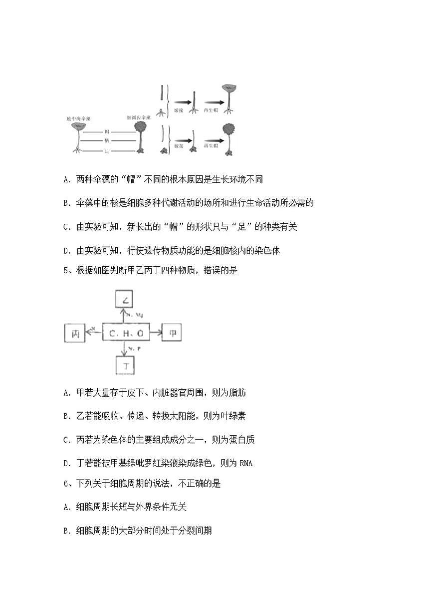 2024-2025学年广西崇左市天等县高级中学高一上学期期中生物试题（含答案）第2页