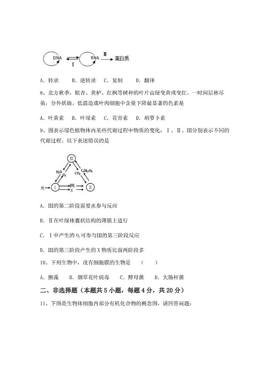 2024-2025学年广西桂林市、贺州市、崇左市高一上学期期中生物综合检测试卷（含答案）第3页