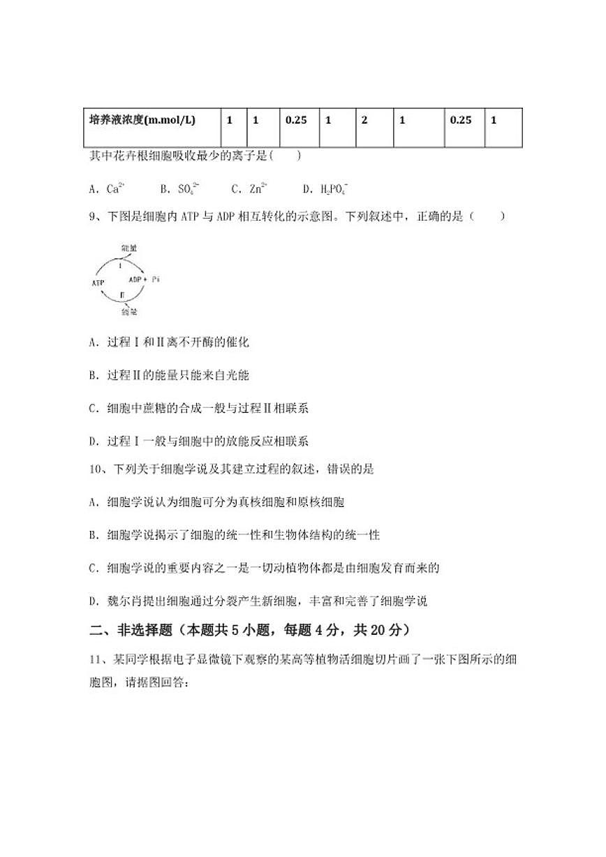 2024-2025学年广西桂林市桂林中学高一上学期期末生物综合检测试卷（含答案）第3页