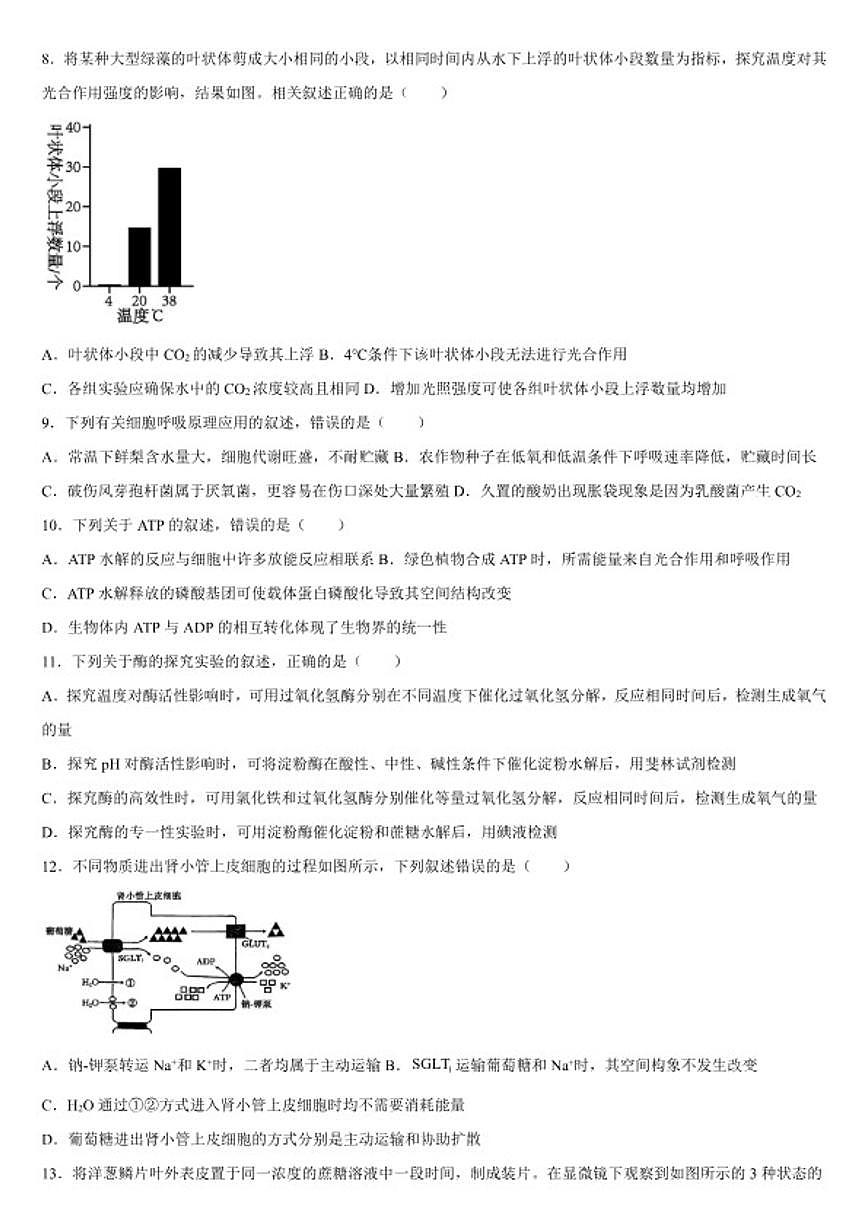 2025-2026学年广西钦州市第十三中学春季学期高一年级上开学考试生物试卷（含答案）第3页