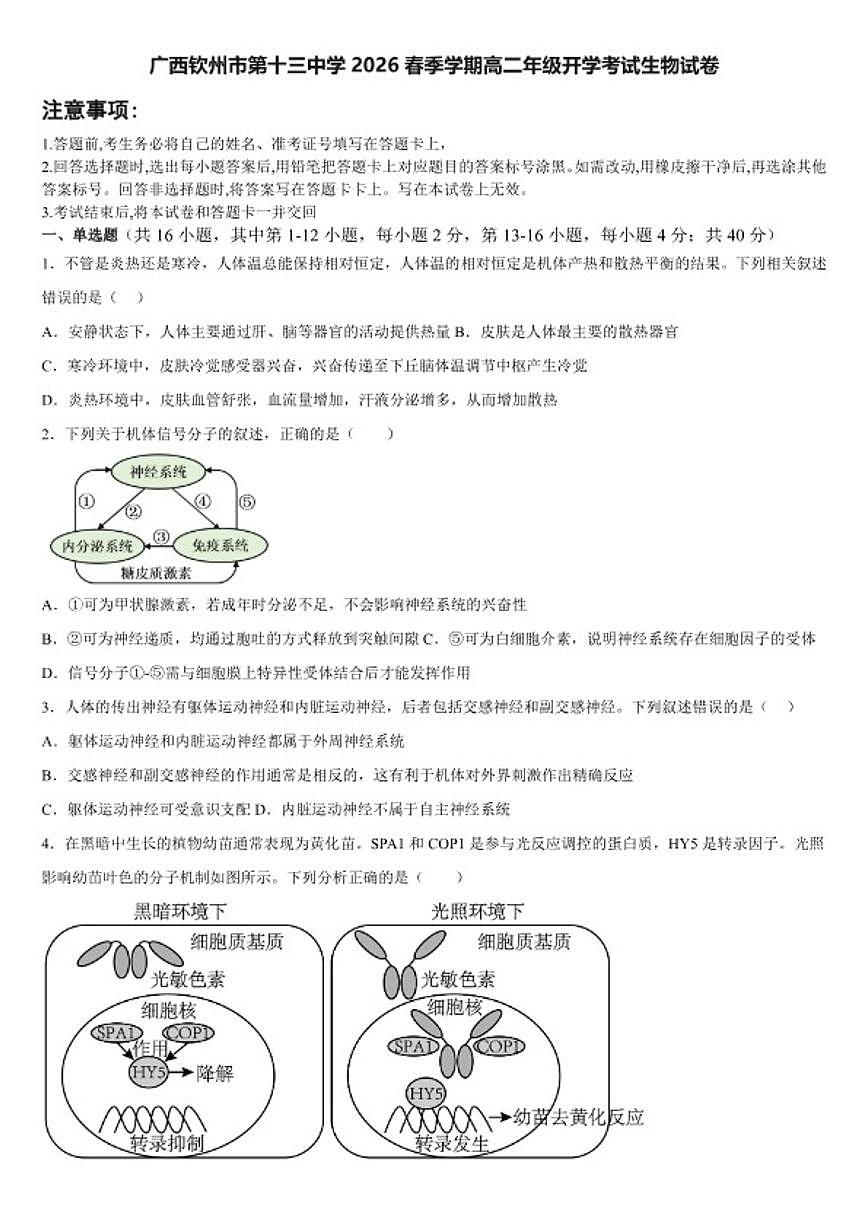 2025-2026学年广西钦州市第十三中学春季学期高二年级上开学考试生物试卷（含答案）第1页