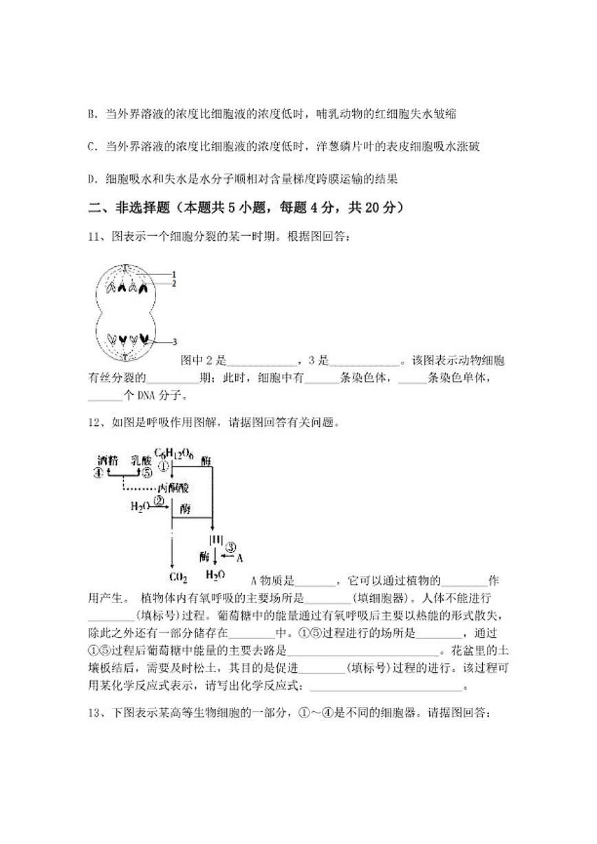 2024-2025学年广西桂林中学高一上学期期末生物试卷（含答案）第3页
