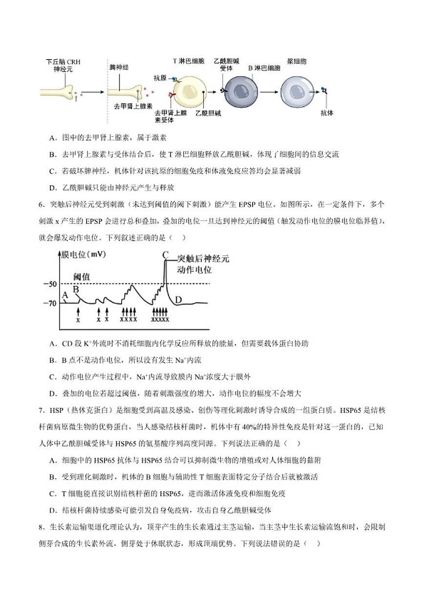 2025-2026学年湖北省孝感市楚天协作高二上学期期末考试生物试卷（含答案）第2页