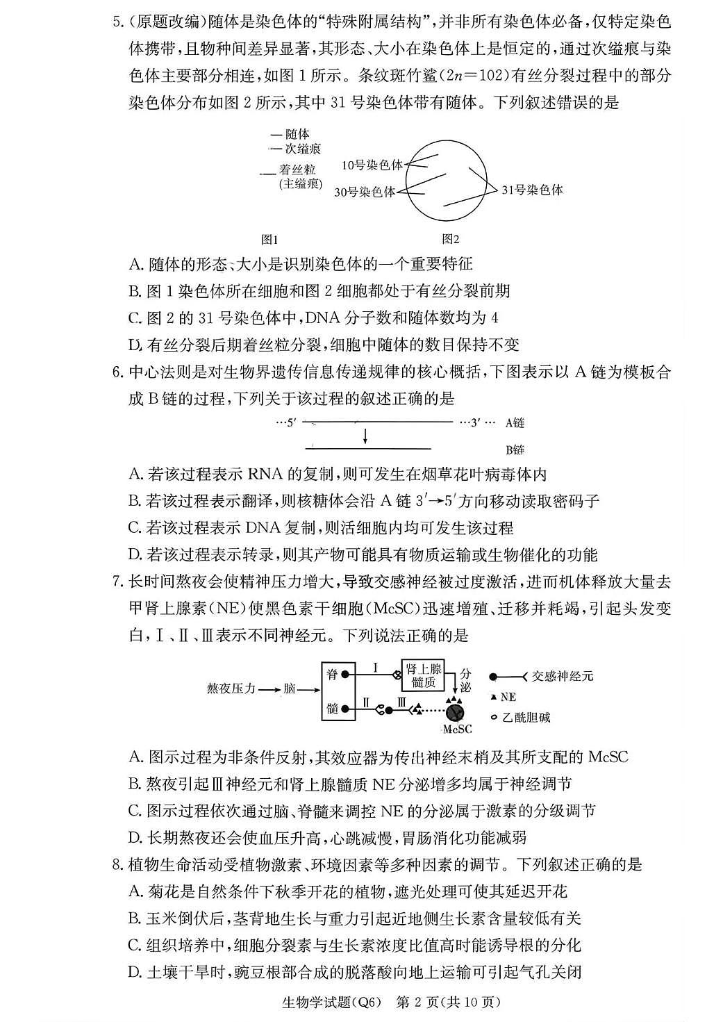 长沙市一中2026届高三上学期月考试卷（六）生物试卷+答案第2页