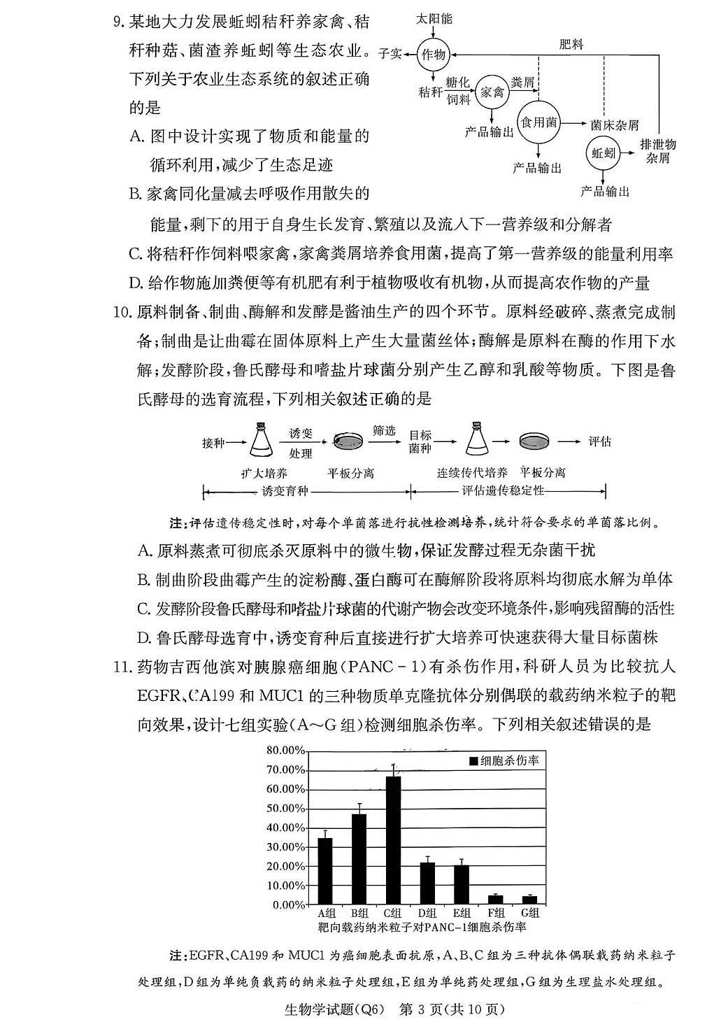 长沙市一中2026届高三上学期月考试卷（六）生物试卷+答案第3页