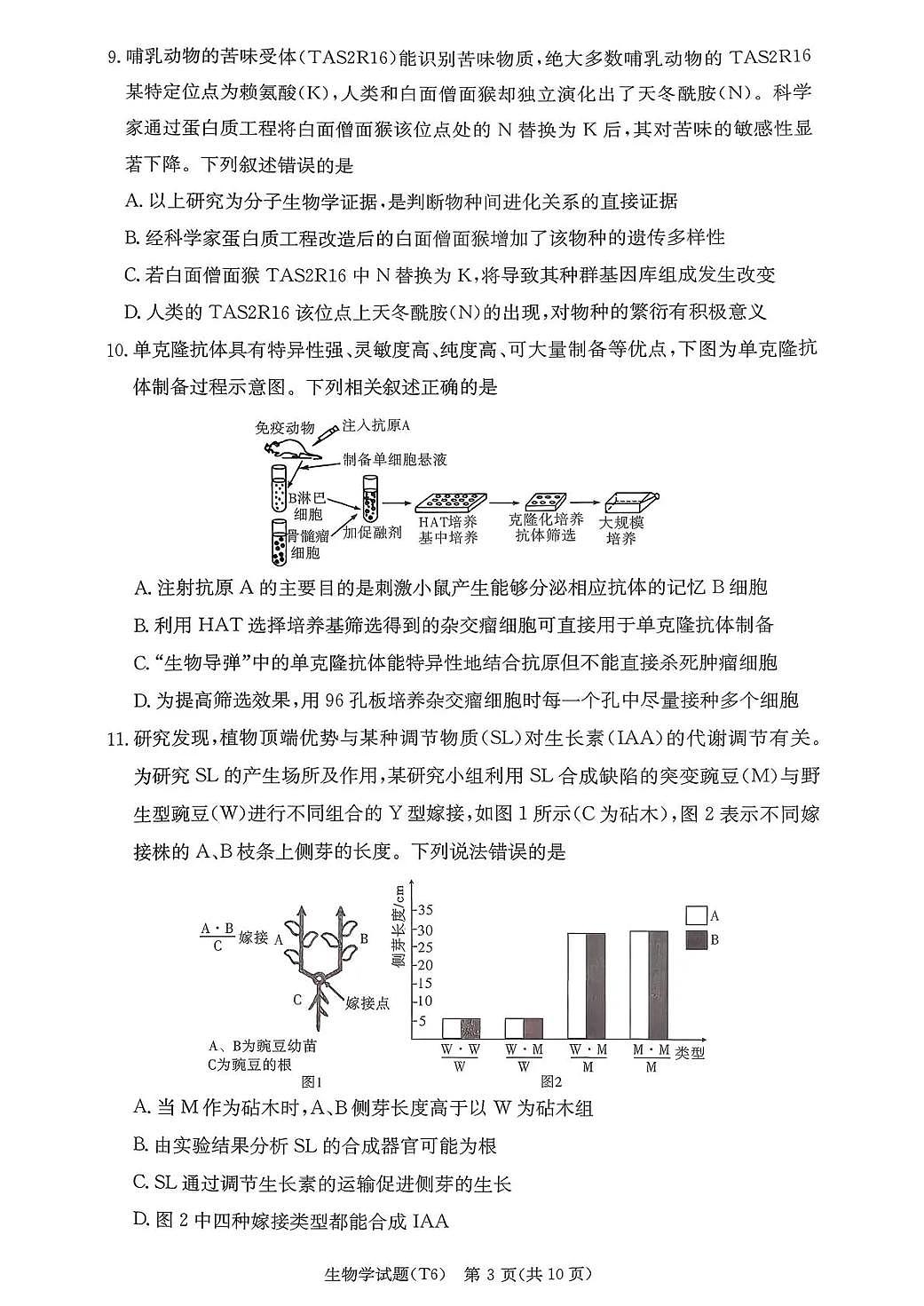 湖南师大附中2026届高三月考试卷（六）生物第3页