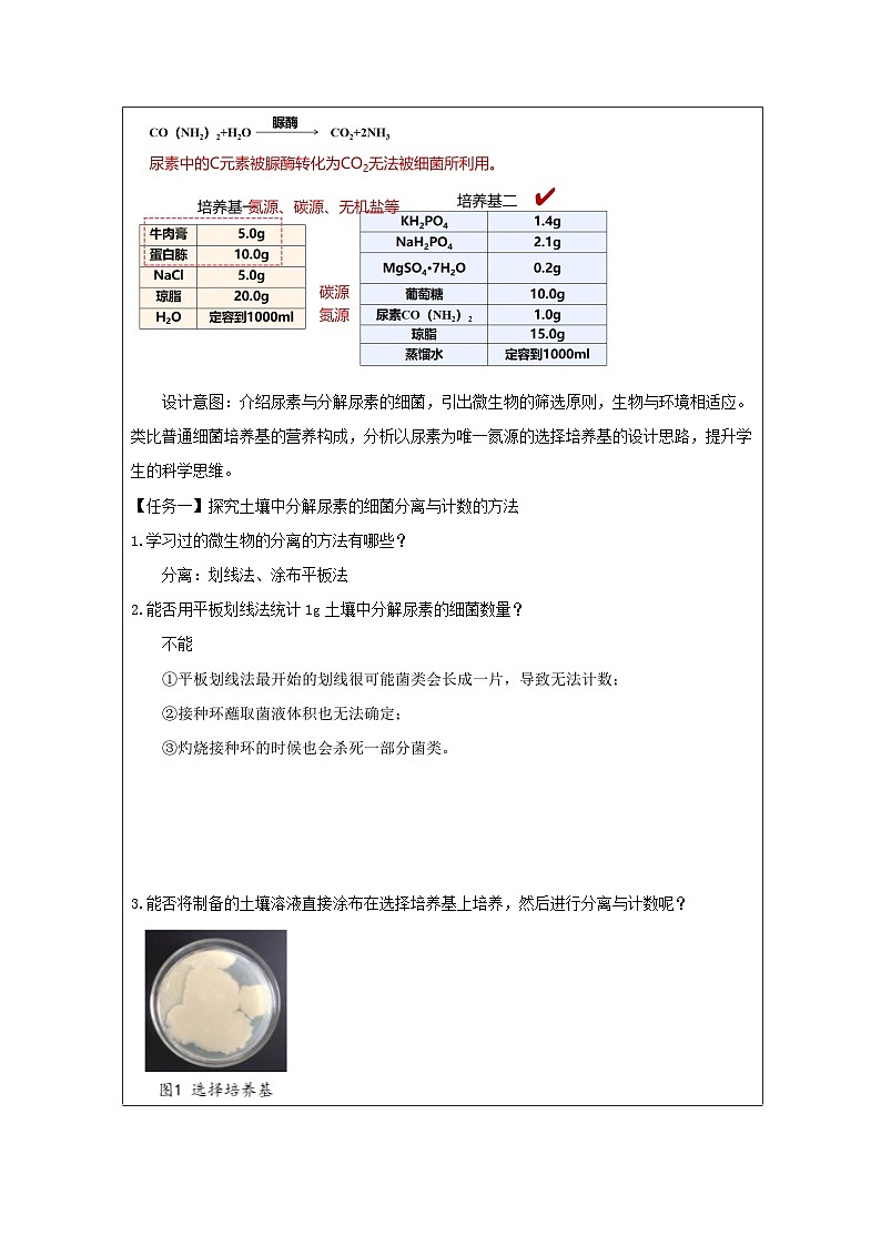人教版（2019）高中生物选择性必修三 1.2.2 土壤中分解尿素的细菌的分离与计数 教案（表格式）第2页
