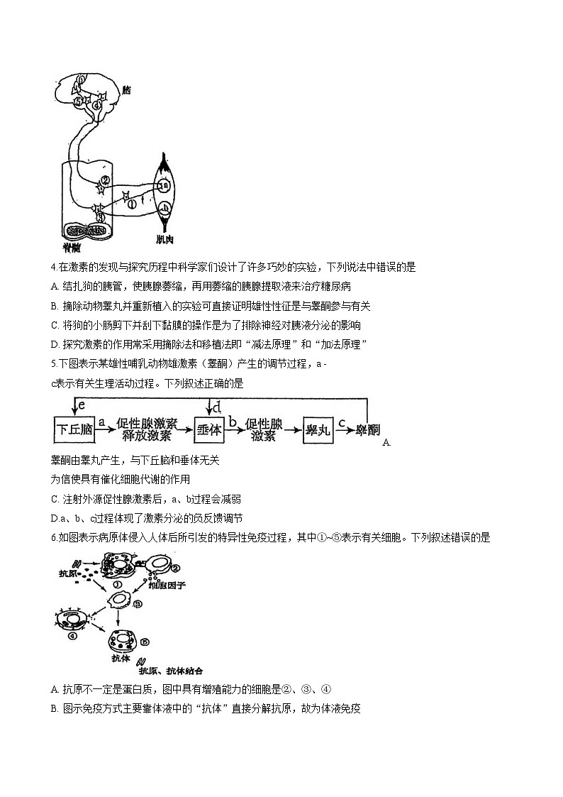 四川省泸州市高级中学校2025_2026学年高二上学期期中考试生物学试题（文字版，含答案）第2页