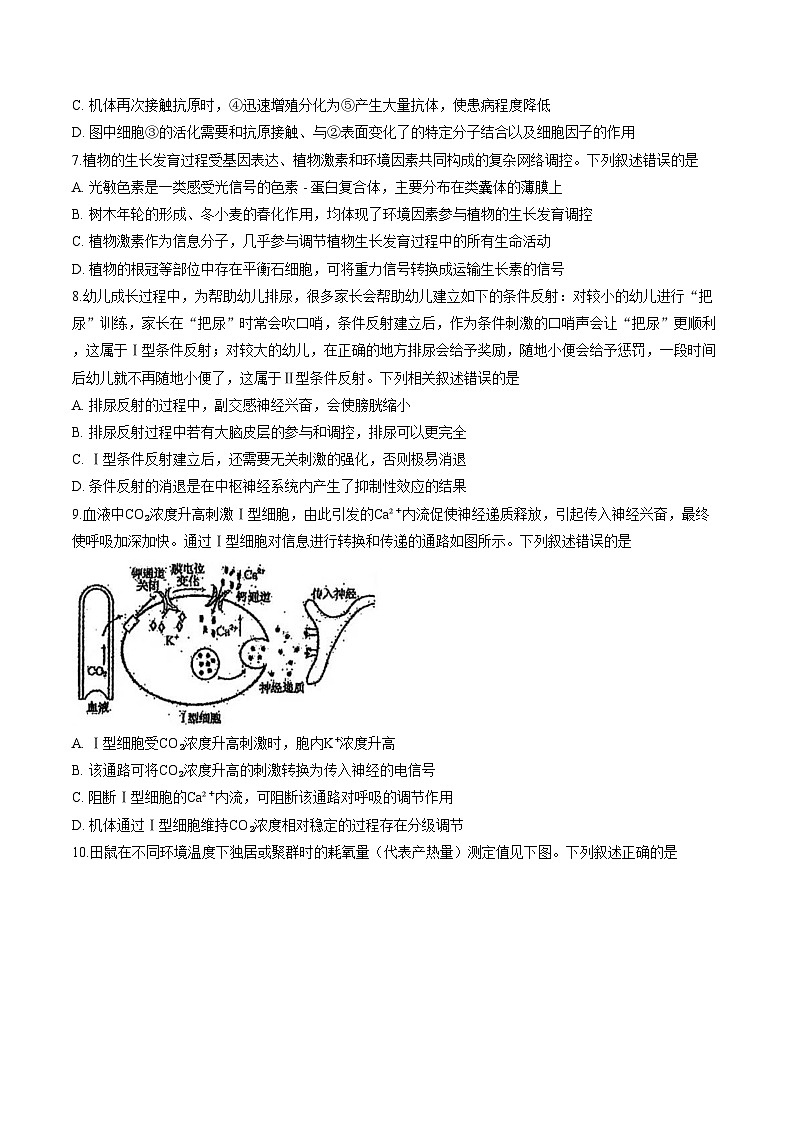 四川省泸州市高级中学校2025_2026学年高二上学期期中考试生物学试题（文字版，含答案）第3页
