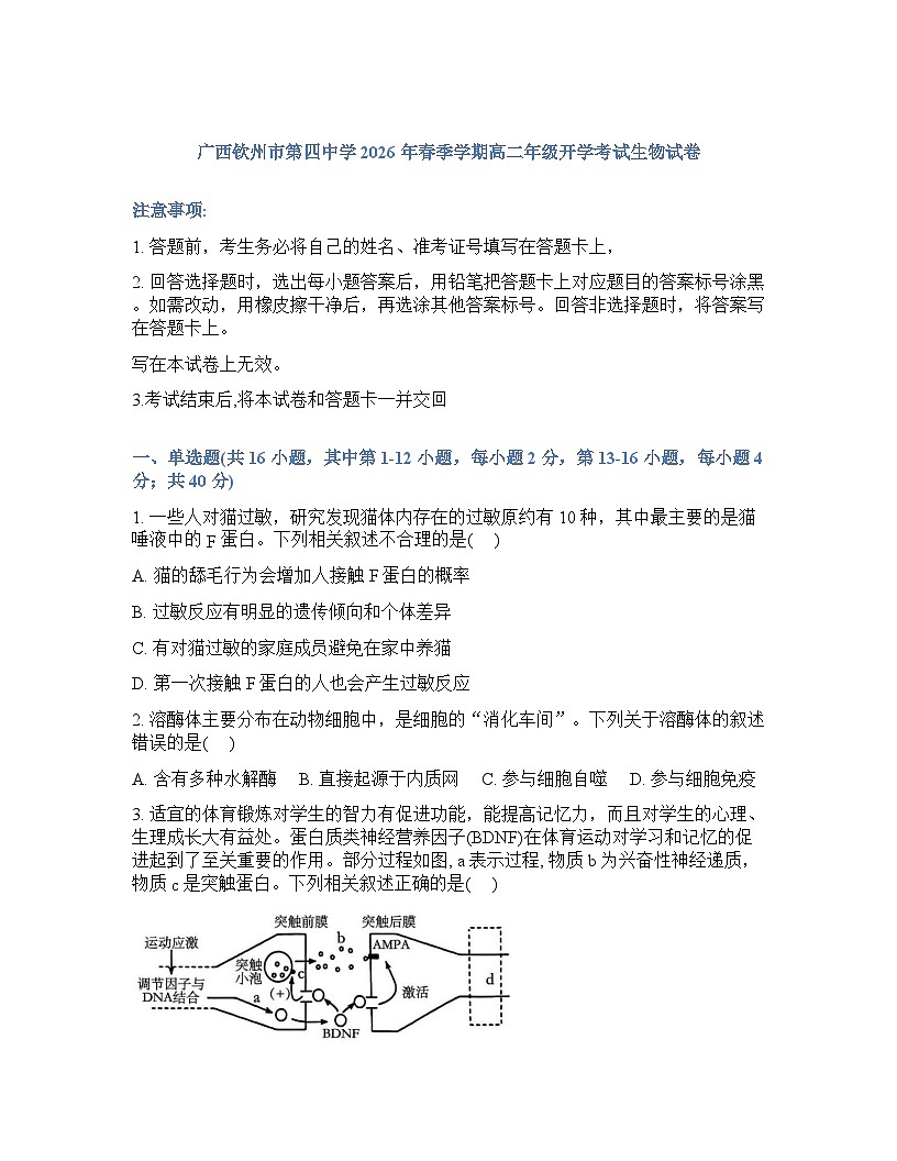 2026年广西钦州市第四中学高二年级春季学期开学考试生物学试卷含 答案第1页