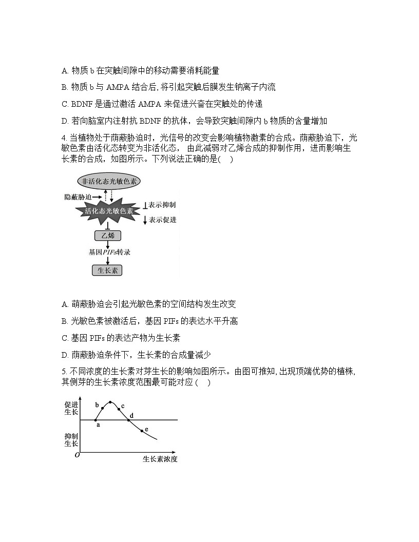 2026年广西钦州市第四中学高二年级春季学期开学考试生物学试卷含 答案第2页