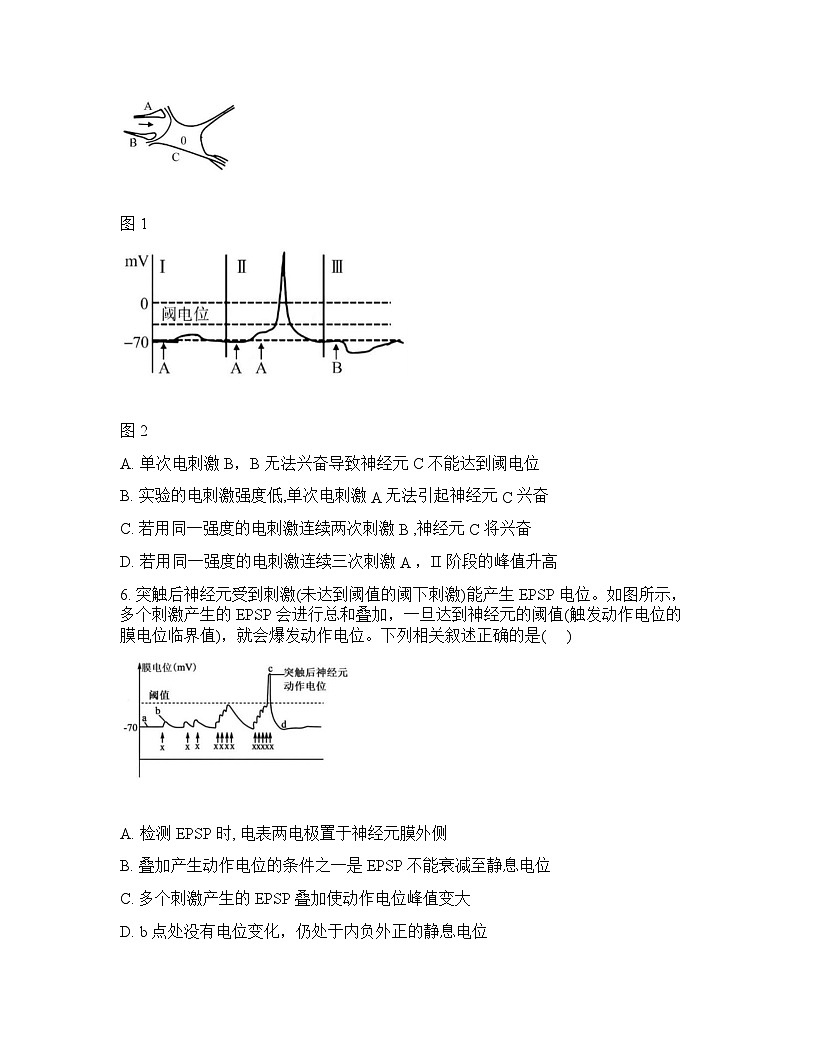 2026年广西钦州市大寺中学高二年级春季学期开学考试生物试卷含答案第3页