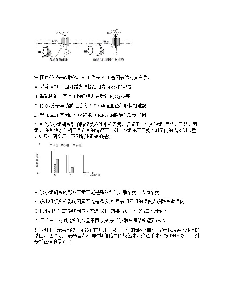 山西大学附属中学2025-2026学年下学期高三开学考生物-试卷含答案第2页