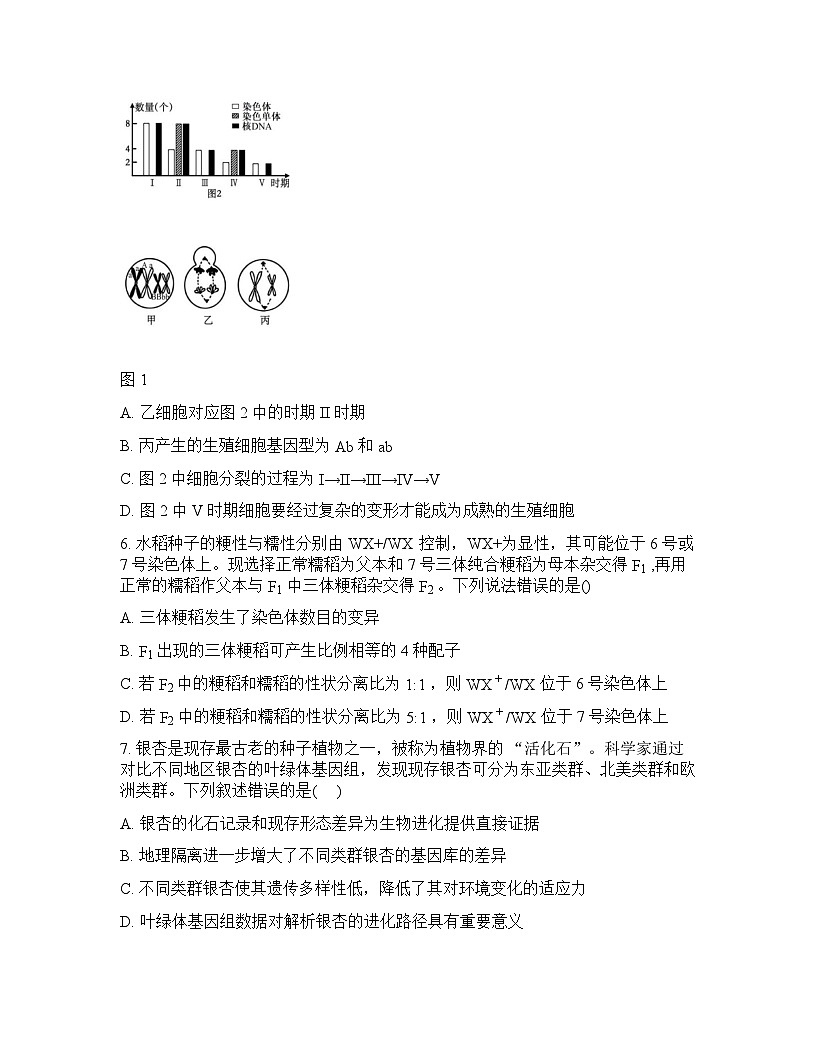 山西大学附属中学2025-2026学年下学期高三开学考生物-试卷含答案第3页