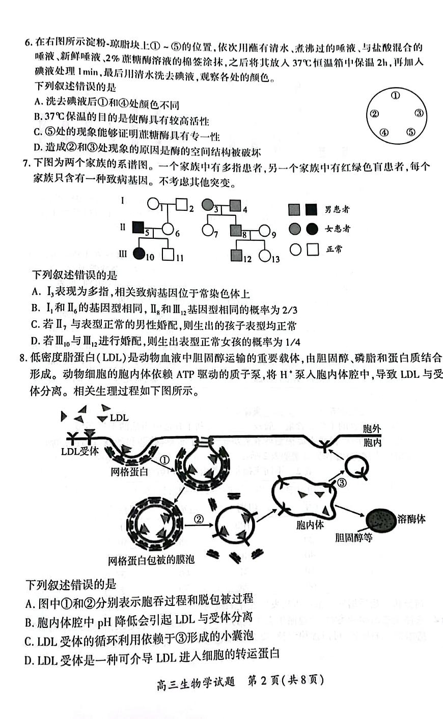 厦门市2025 届高三毕业班第四次质量检测-生物试卷第2页