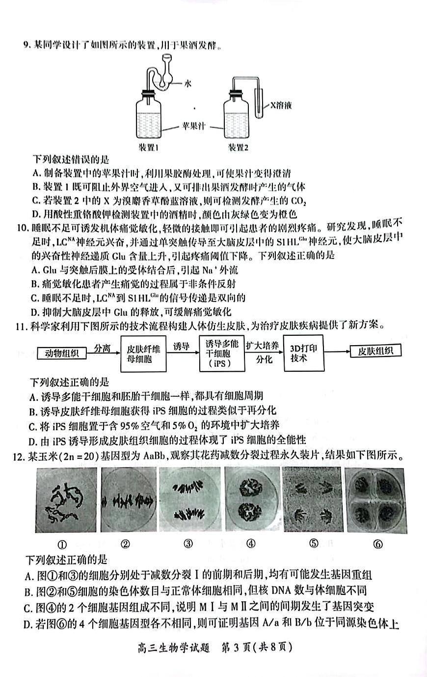 厦门市2025 届高三毕业班第四次质量检测-生物试卷第3页
