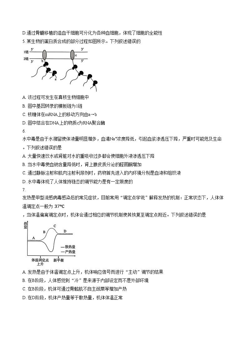 河南普通高中2025_2026学年上学期高三年级期末考试 生物试题（文字版，含答案）第2页